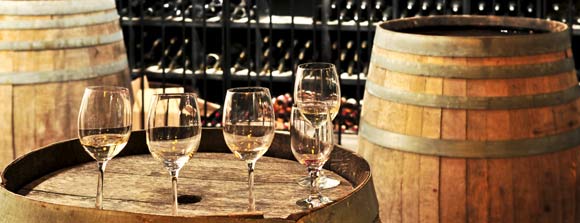 TX Hill Country Wine Tours
